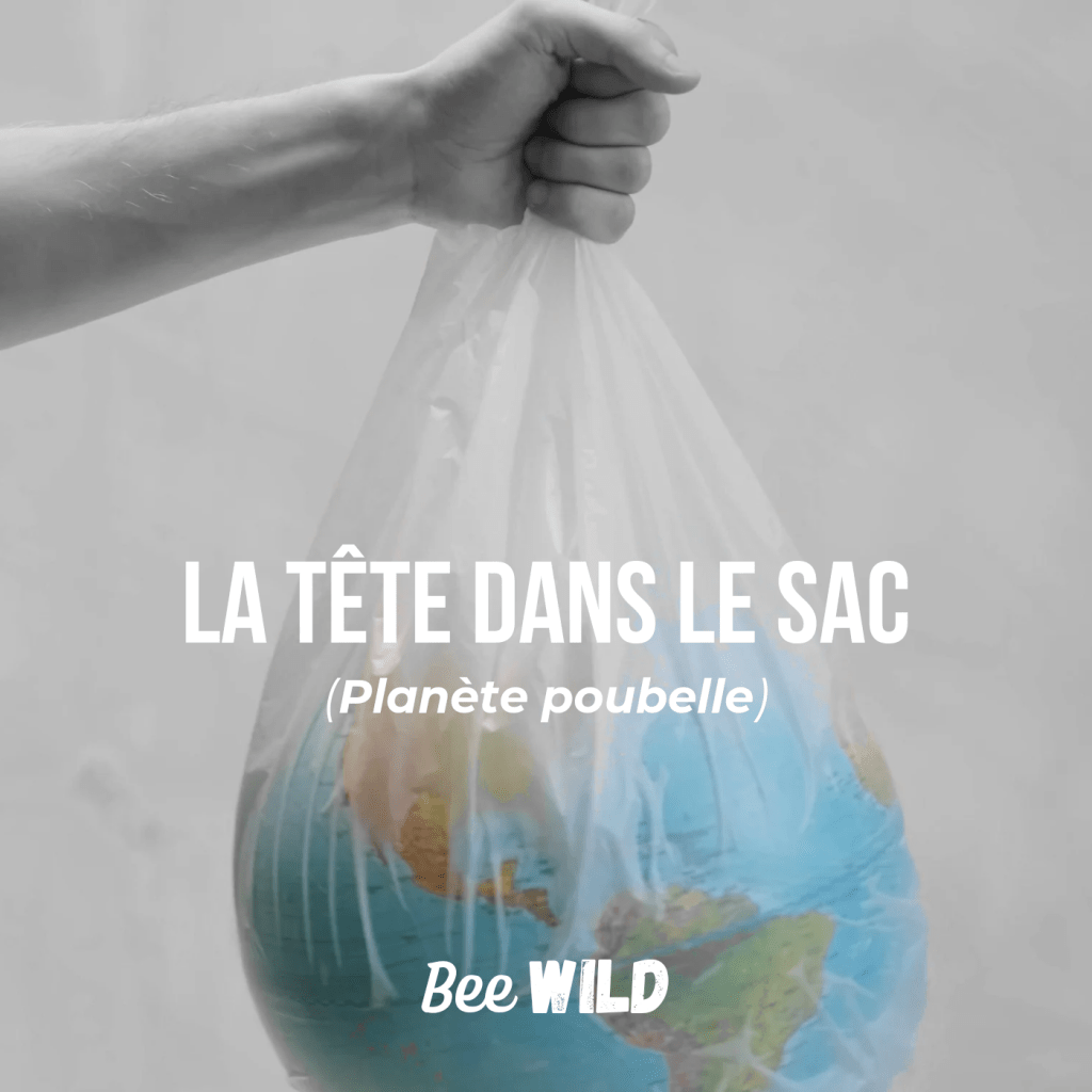 La tête dans le sac (planète poibelle)
Cliquez pour voir le clip.